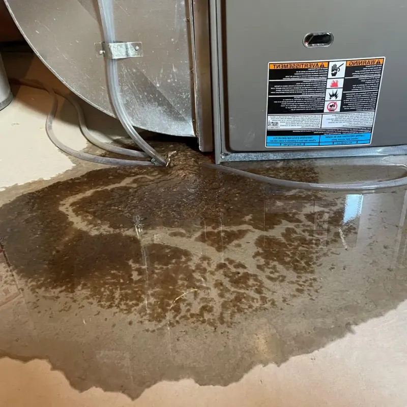 Pipe Burst and Leak Restoration in Seymour, CT