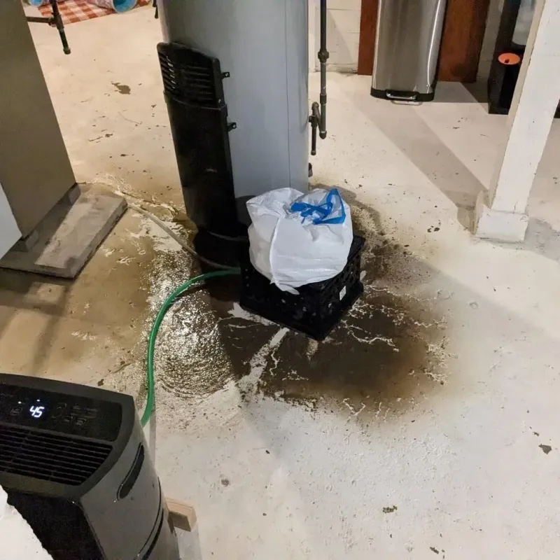 Sewage Backup Cleanup Service in Seymour, CT